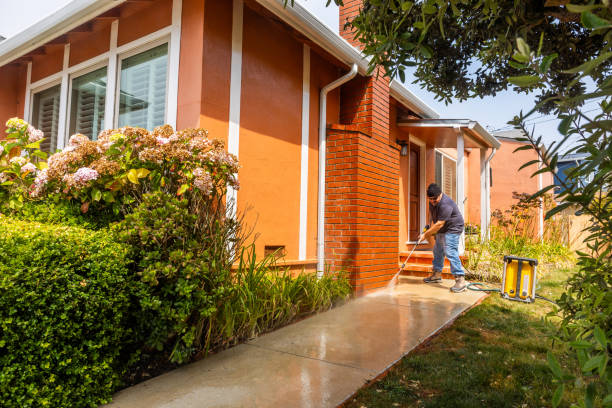 Best Affordable Power Washing  in San Carlos, AZ