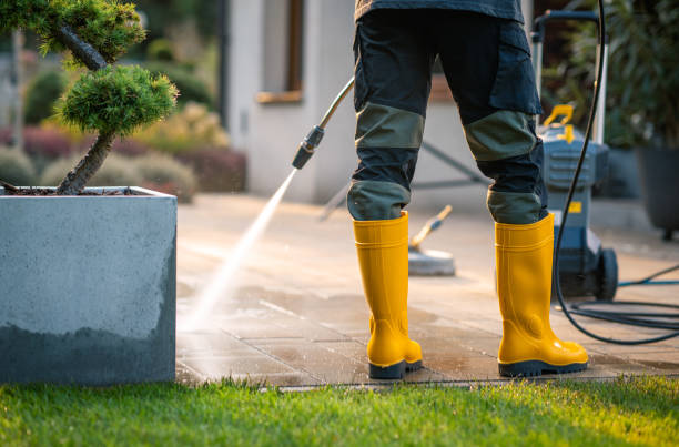 Best Deck Cleaning Services  in San Carlos, AZ